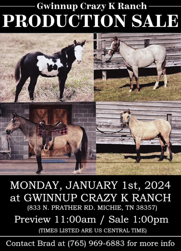 Quarter Horse Production Sale January 2024 Crazy K Ranch